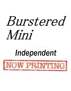 Burstered Mini Album - Independent CD 2