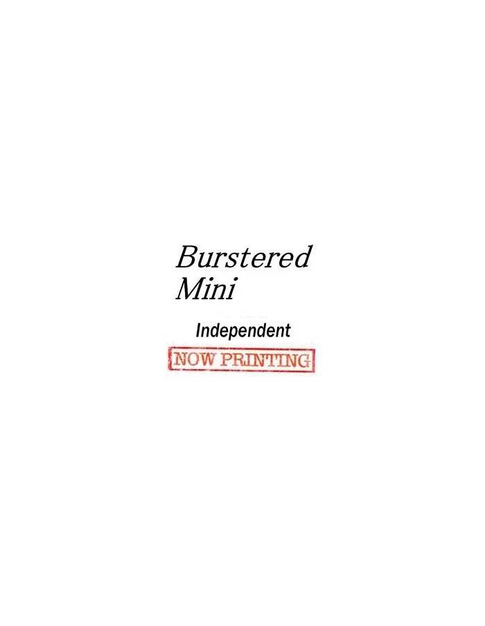 Burstered Mini Album - Independent CD