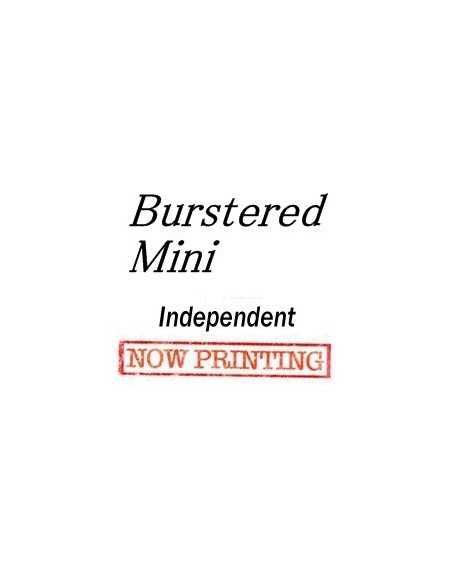 Burstered Mini Album - Independent CD