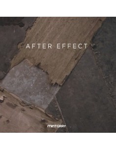 Mint Gray Single Album - AFTER EFFECT CD