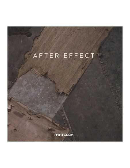Mint Gray Single Album - AFTER EFFECT CD
