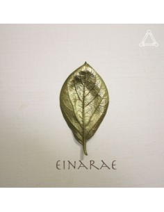 Einarae 1st Album - 솔직한 널 보면(Just Be You) CD