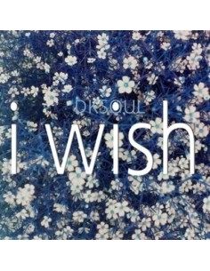DKSOUL - I WISH CD