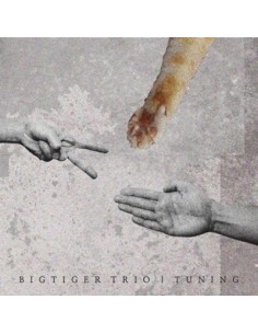 Bigtiger Trio - Tuning CD