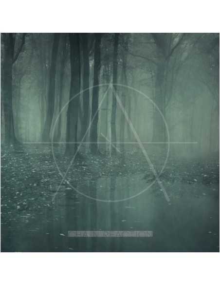 CHAIN REACTION - WE WANDER (EP)