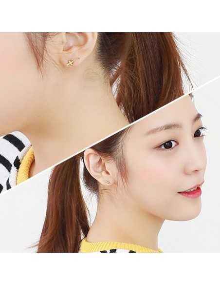 [AS105] Neighbro Earring