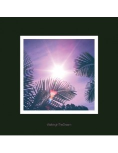 FANTASTIC DRUGSTORE - WALKING IN THE DREAM (EP) CD