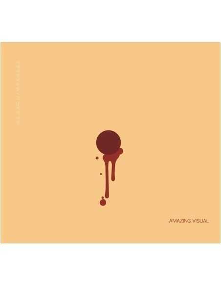 AMAZING VISUAL 1st Album - 그 남자의 사정 CD