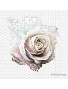 WHOWHO 1st Album - OH YEAH CD