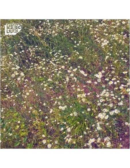 Broccoli, you too Sinlge Album - 잊어야 할 일은 잊어요 CD