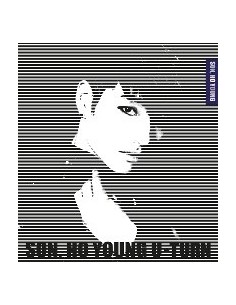 Son Ho Young Mini Album U-Turn CD + Poster