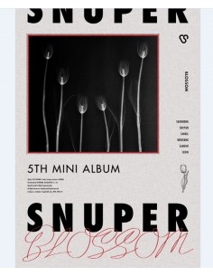 LOVELYZ 4th Mini Album - 治癒 (치유) CD + Poster