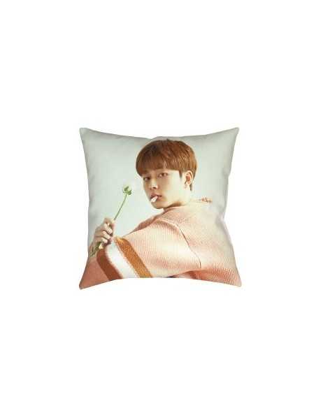 Yoo SeonHo Official Goods - Cushion