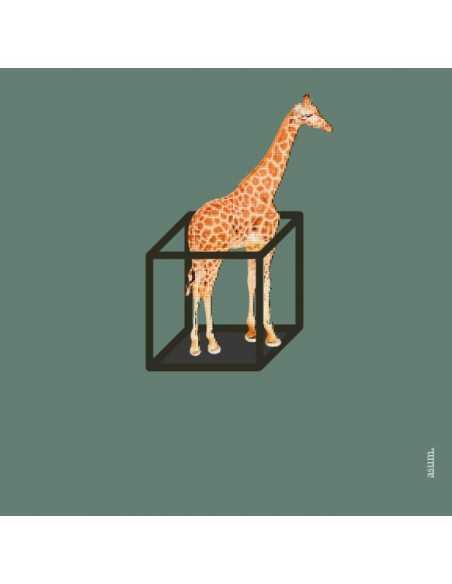 ASUM Album - Awesome CD