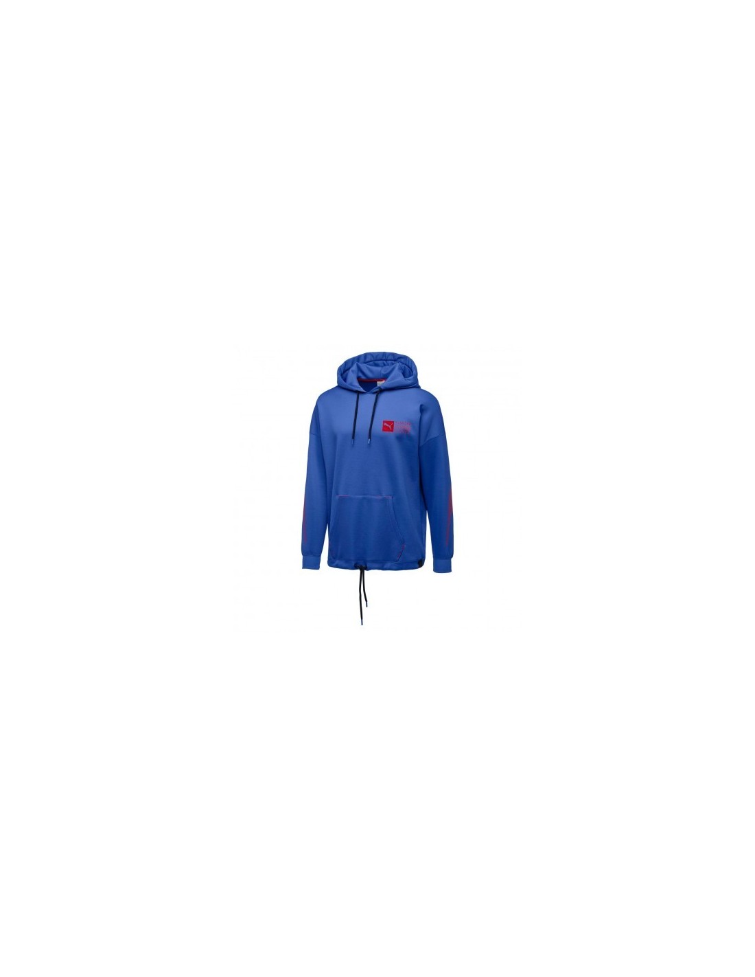 puma capsule hoodie
