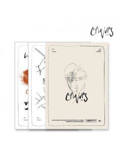 VIXX Leo Canvas Official Goods - Tatoo Sticker