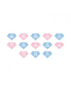 SEVENTEEN 3RD CARAT LAND Goods - Wappen Broach