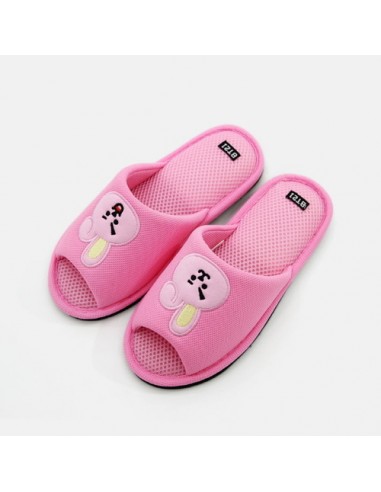 bt21 slippers