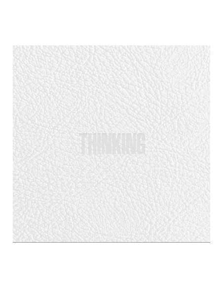 ZICO 1st Album - THINKING CD