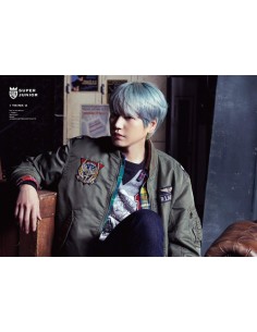 SUPER JUNIOR-KYUHYUN Celebration トレカ付き① DISCOGRAPHY | SUPER JUNIOR（スーパージュニア）JAPAN OFFICIAL