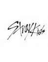 STRAY KIDS